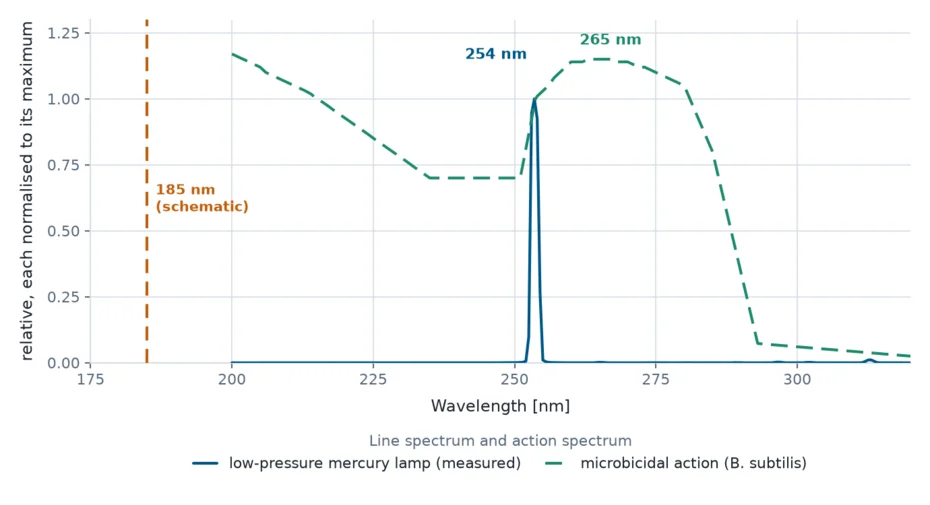 Line spectrum of a low-pressure mercury lamp with the main line at 254 nm, the schematic 185 nm line and the microbicidal action spectrum peaking near 265 nm
